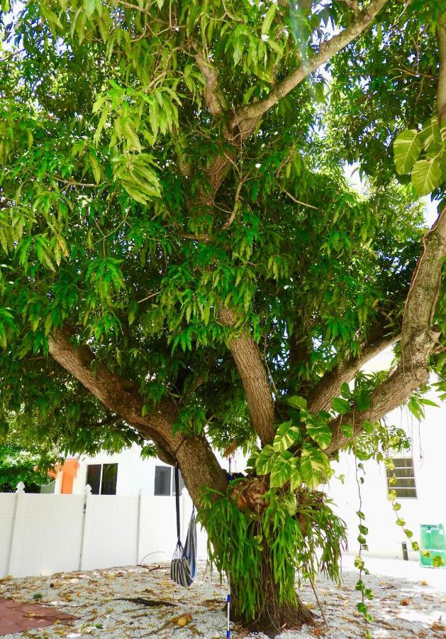 מיאמי Beautiful Casita With King Bed And Private Patio Close To Calle 8, Mia Airport, Coral Gables מראה חיצוני תמונה